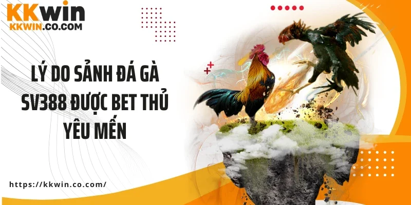 Lý do sảnh đá gà SV388 được bet thủ yêu mến